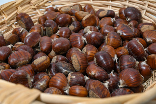 Castagne (chestnuts)