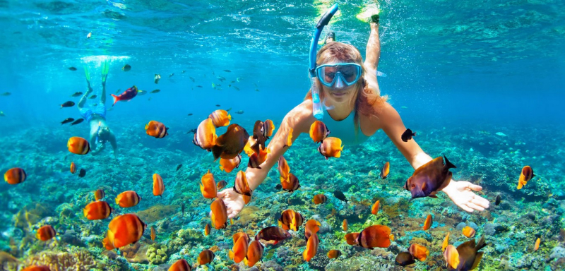 Source: Cancun Snorkeling