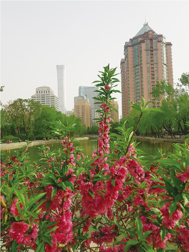 Chaoyang Park 朝阳公园, https://www.beijing-kids.com/blog/2020/06/25/green-envy-exploring-beijings-kid-friendly-parks/