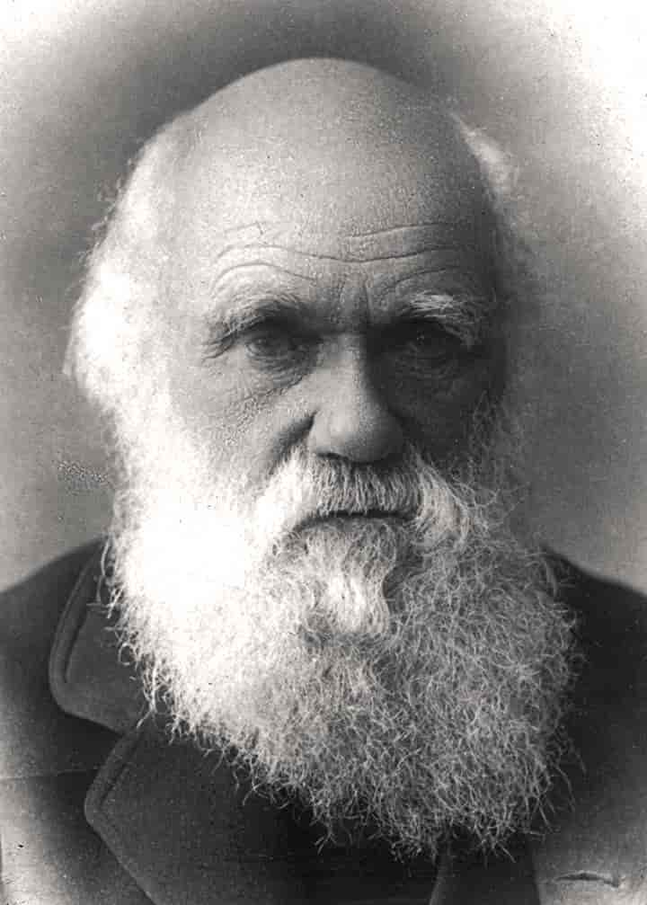 Photo on  Store norske leksikon (https://snl.no/Charles_Darwin)