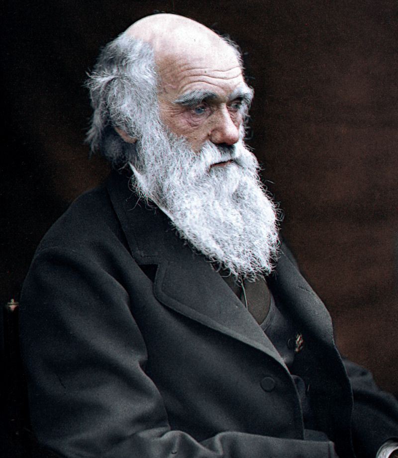 Photo on  Wikimedia Commons (https://commons.wikimedia.org/wiki/File:Charles_Darwin,_English_naturlist,_colored.jpg)