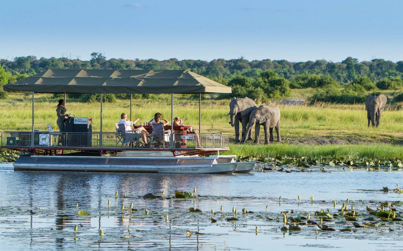Chobe National Park. Photo: chobenationalpark.co.za
