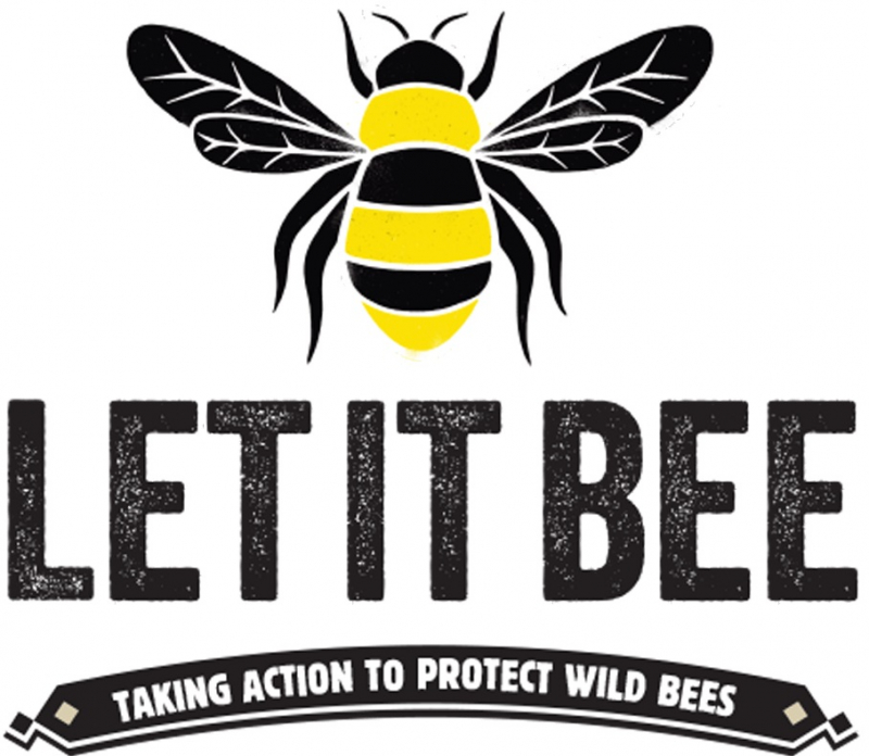 Consider the authorities on measures and propaganda to protect bees
