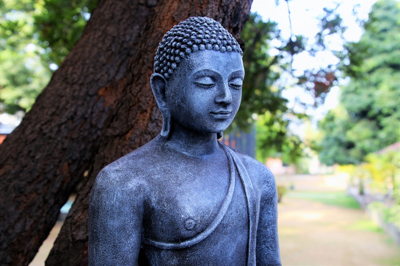 Contemplation Buddha - Photo by Pixapay (https://pixabay.com/photos/buddhism-portrait-sculpture-tree-3207277/)