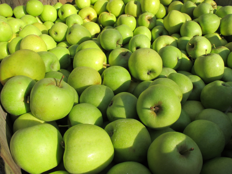 Sun Orchard Apples