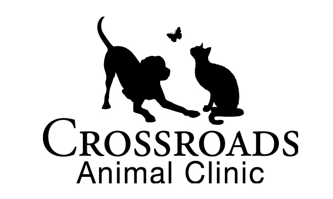 Crossroads Animal Clinic. Photo: crossroadsvets.com