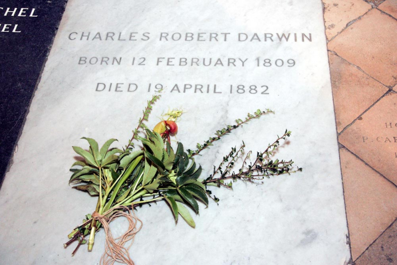 Photo: https://www.westminster-abbey.org/abbey-commemorations/commemorations/charles-darwin