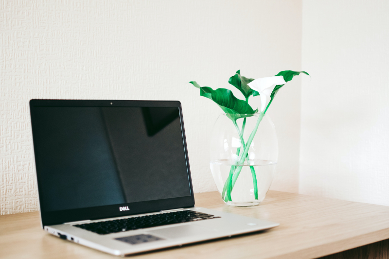 Photo by Lisa Fotios: https://www.pexels.com/photo/silver-and-black-dell-laptop-beside-white-calla-lily-in-clear-glass-vase-on-brown-wooden-desk-1266982/