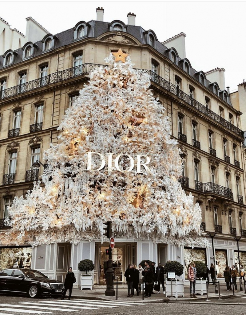 Dior Flagship Store in Paris