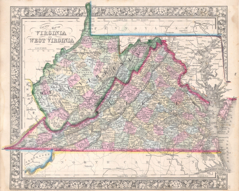 Photo: Division of Virginia