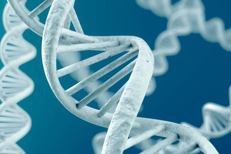 DNA Testing Can Impact Your Life Insurance Policy