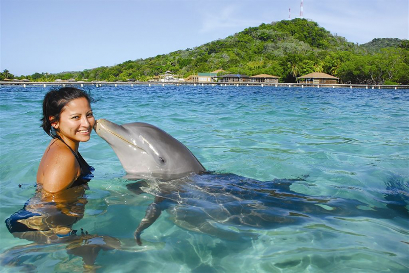 Dolphin Encounter, Roatán Institute for Marine Sciences (photo: https://catracity.com/)