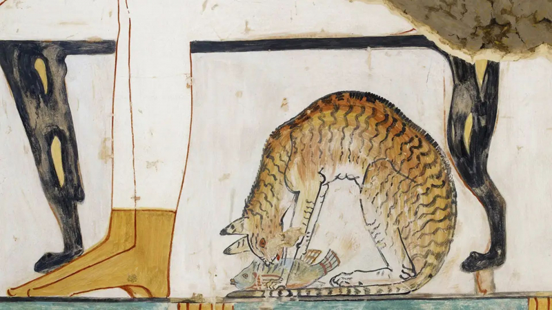 A detail of the tomb fresco, showing a cat in the domestic setting, eating under a chair, ca. 1400-1391 BCE - Science.org