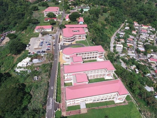 کالج ایالتی دومینیکا