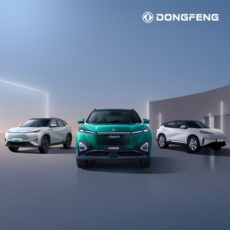 Image via www.facebook.com/DongfengMotorCorporationGlobal