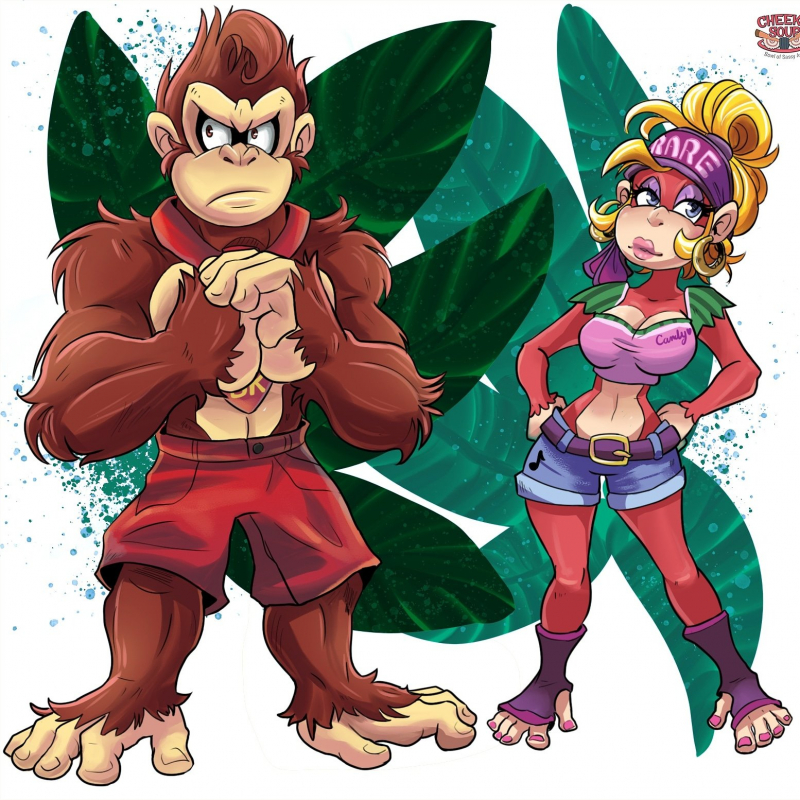 Donkey Kong And Candy Kong (Donkey Kong Country)
