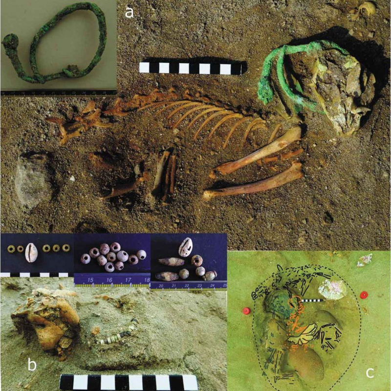 Many of the animals were buried in collars or with ornamental goods. - Osypinska et al. / World Archaeology