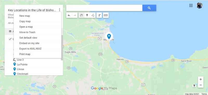 Embed Your Map on a Website