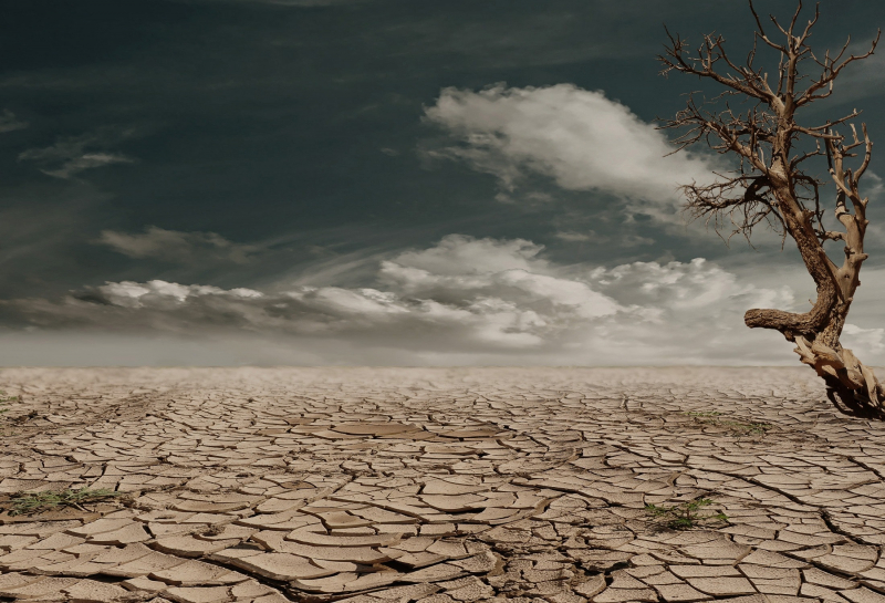 Drought is one of the most environment degradation examples that Australia needs to solve urgently - Source: Pexels - Pixabay