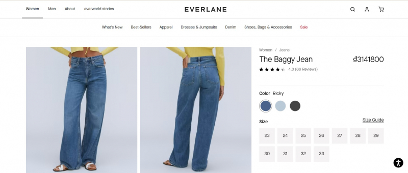 Screenshot of https://www.everlane.com/products/womens-baggy-jean-ricky