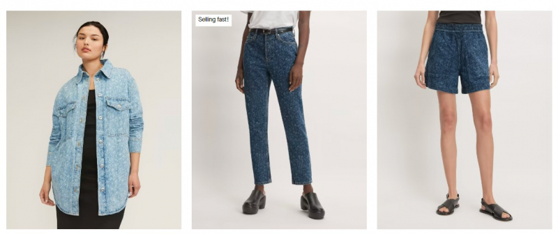 Screenshot of https://www.everlane.com/collections/womens-jeans