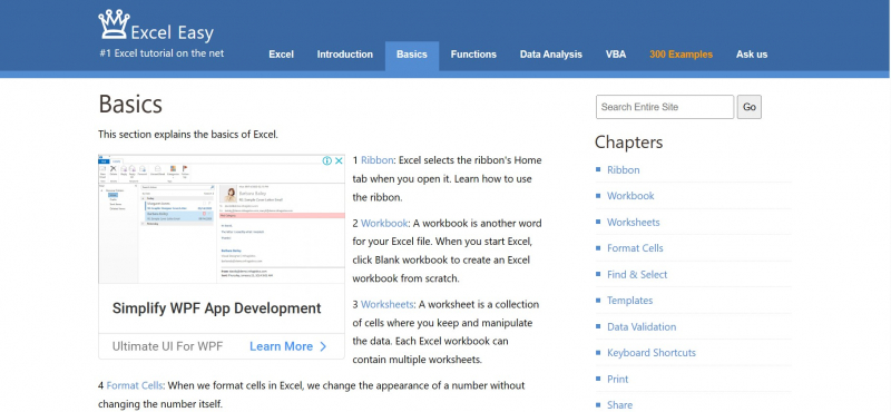 Screenshot of https://www.excel-easy.com/basics.html