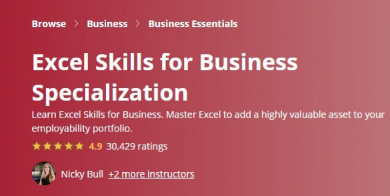 Excel Skills for Business Specialization by Macquarie University (Coursera)