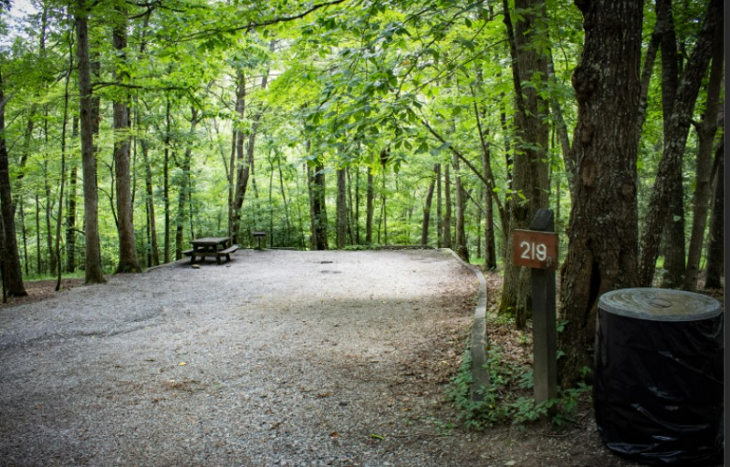 Fall Creek Falls State Park Campgrounds - Tennessee