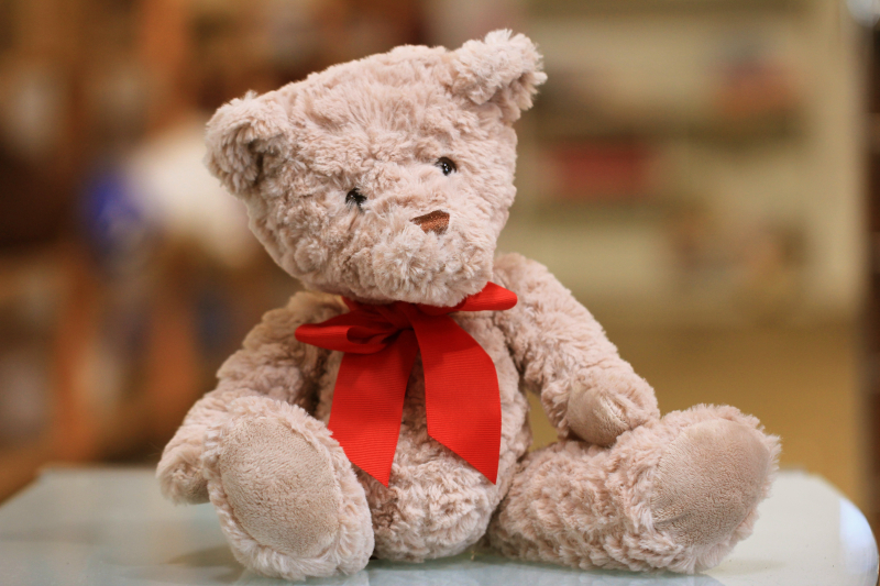 Photo by Sandy Millar on Unsplash: https://unsplash.com/photos/selective-focus-photo-of-brown-teddy-bear-with-red-bow-S5pFhDxUXyw