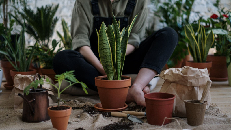 Photo by cottonbro studio on Pexels https://www.pexels.com/photo/photo-of-person-sitting-near-potted-plants-4503261/