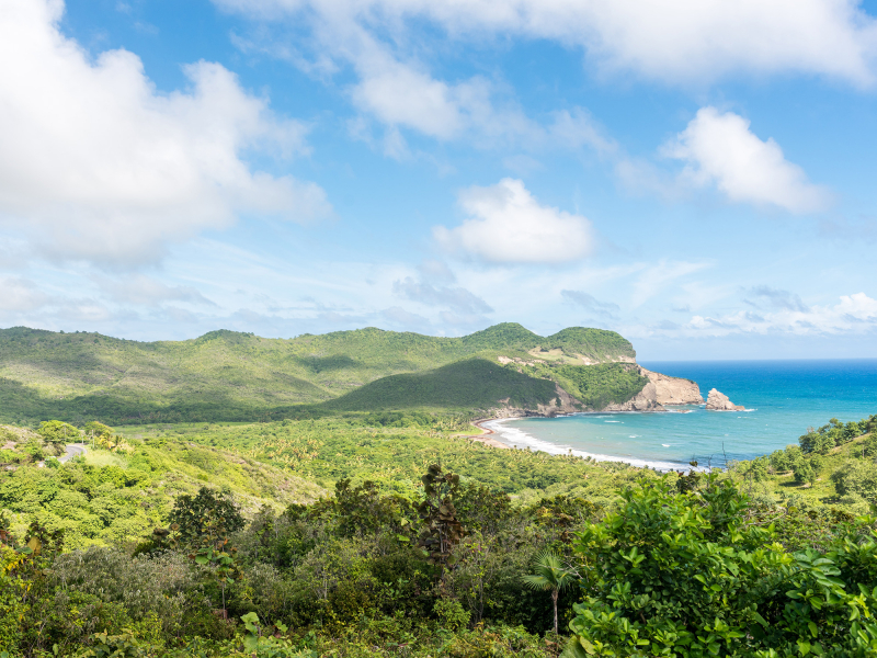 Photo: Invest Saint Lucia