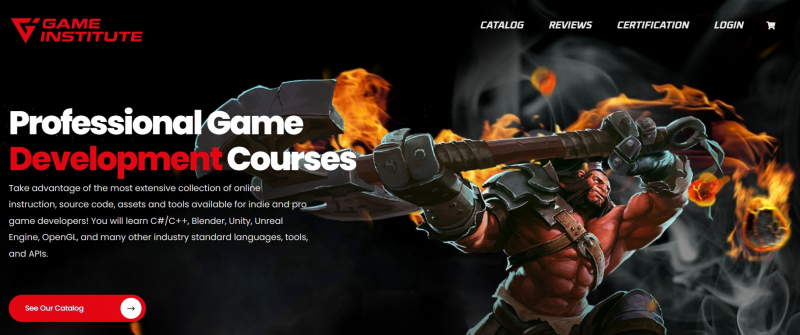 Game Institute's website
