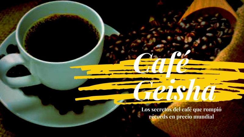 Phôt: https://www.panamaamerica.com.pa/sociedad/cafe-geisha-secretos-del-cafe-panameno-que-rompe-record-en-precios-se-ubica-como-mejor-del