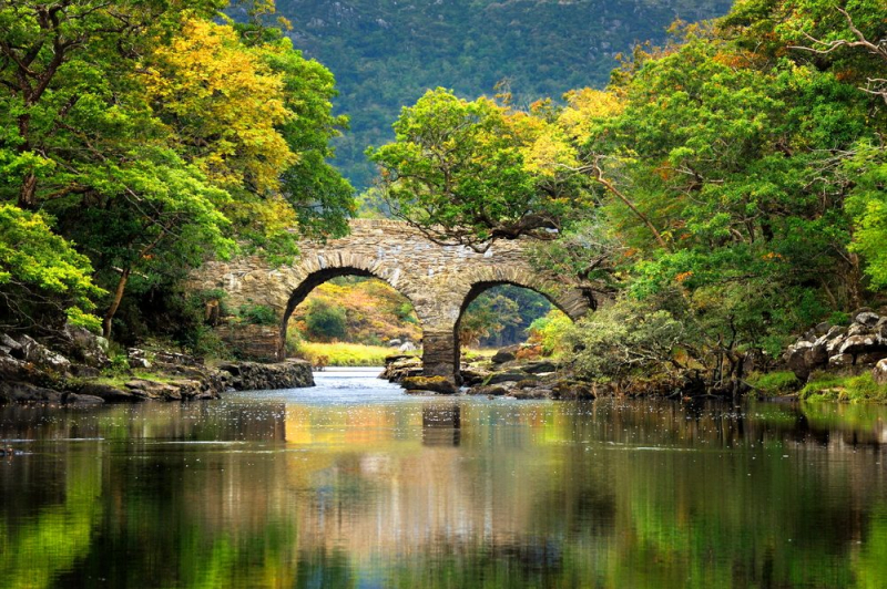 Get Back to Nature in Killarney National Park