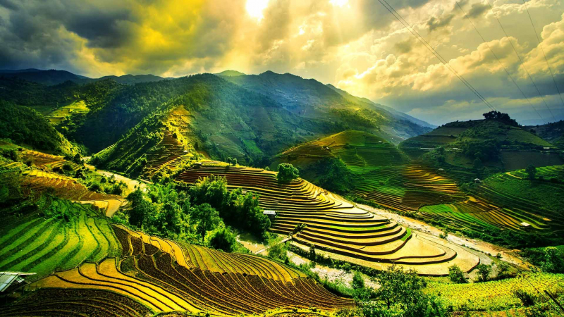 Get Up And Go Vietnam Travel Company specializes in creating the ideal plan particularly for tourists. Photo: roughguides.com