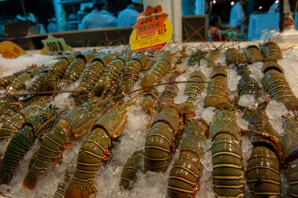 Getting freaked out by the live lobster in your kitchen