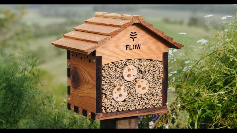 Give beehives and native bee homes