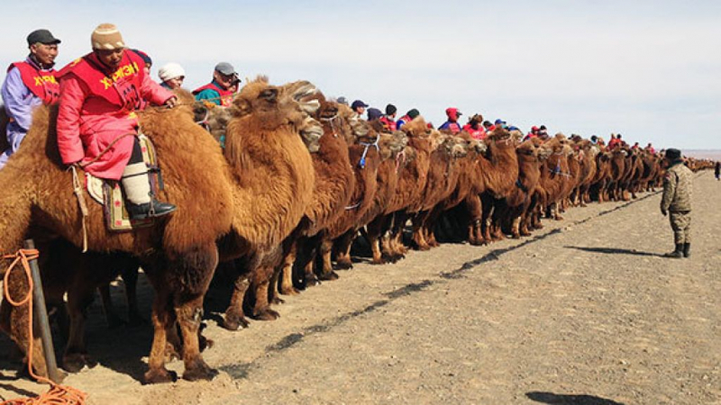 Photo:  Mongolia Guide
