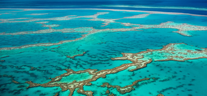 Great Barrier Reef, https://th.bing.com/