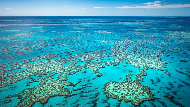 Aerial view of the Great Barrier Reef. - www.worldatlas.com