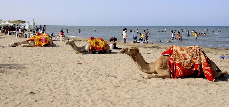 Gurgusum Beach Eritrea. Photo: hotelbeachside.com