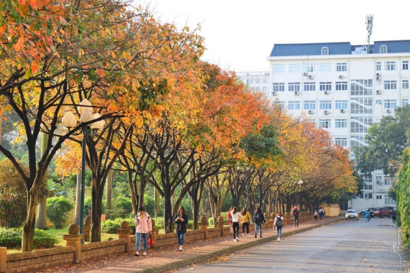 Hanoi National University of Education (photo: https://thituyensinh.ican.vn/)