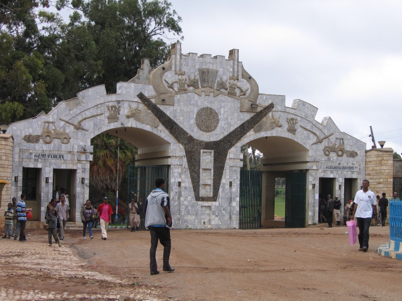 Haramaya University (photo: https://ethiopianadventure.wordpress.com/)