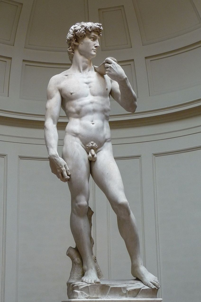 David (1501-1504) by Michelangelo; Michelangelo, CC BY 3.0, via Wikimedia Commons