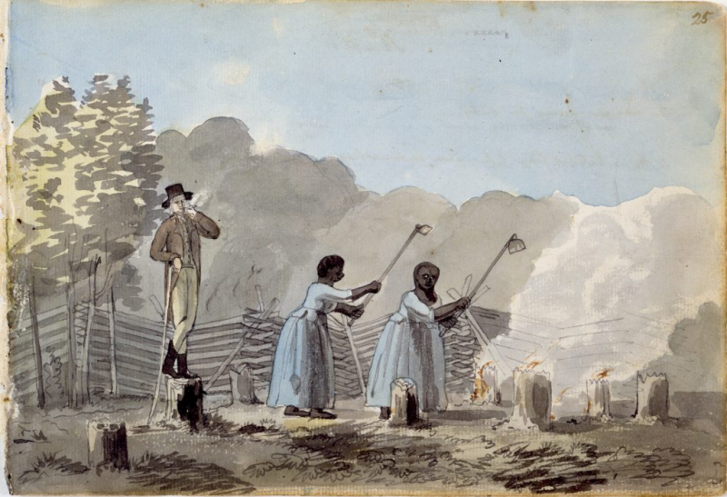 Photo: George Washington and Slavery - encyclopediavirginia