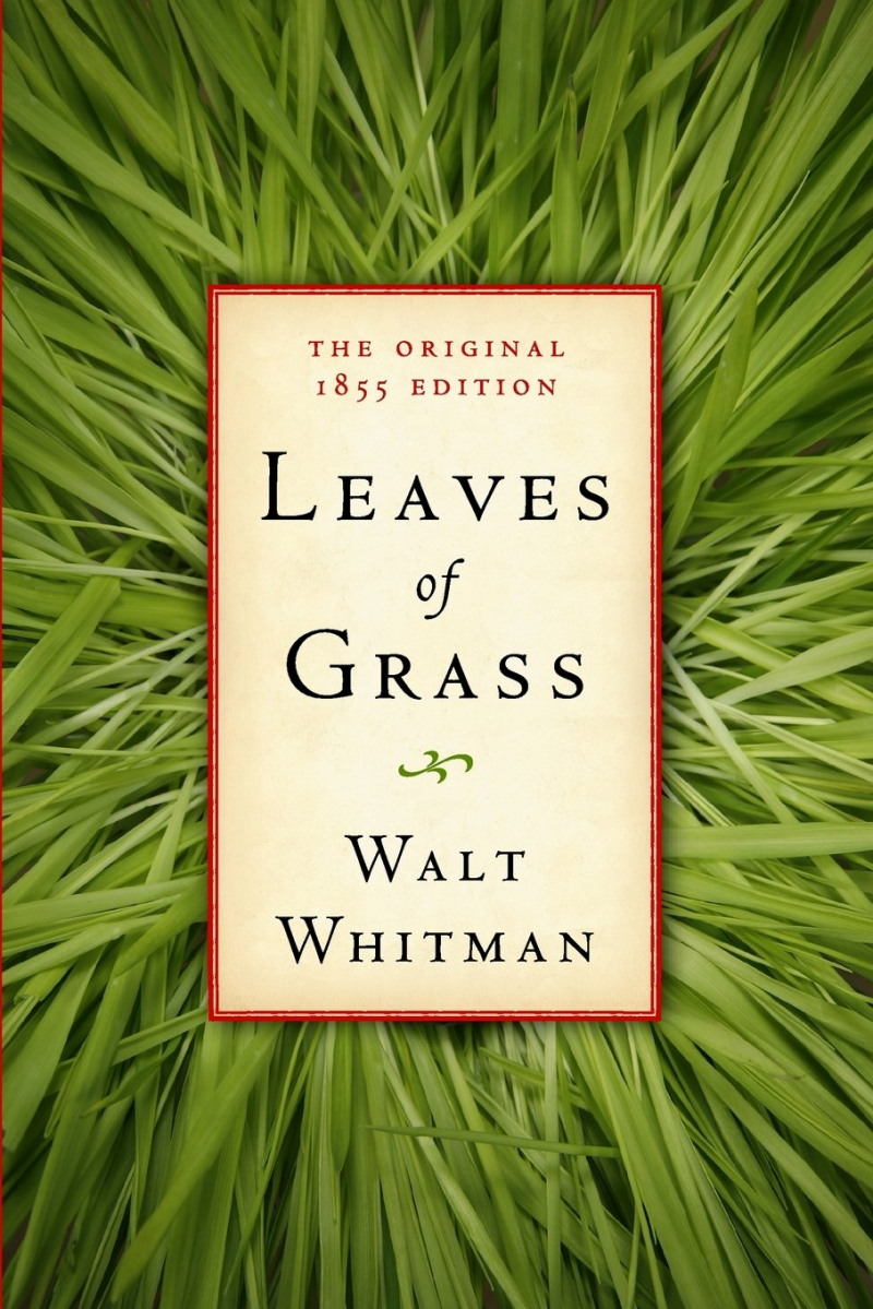 Photo: Leaves of Grass