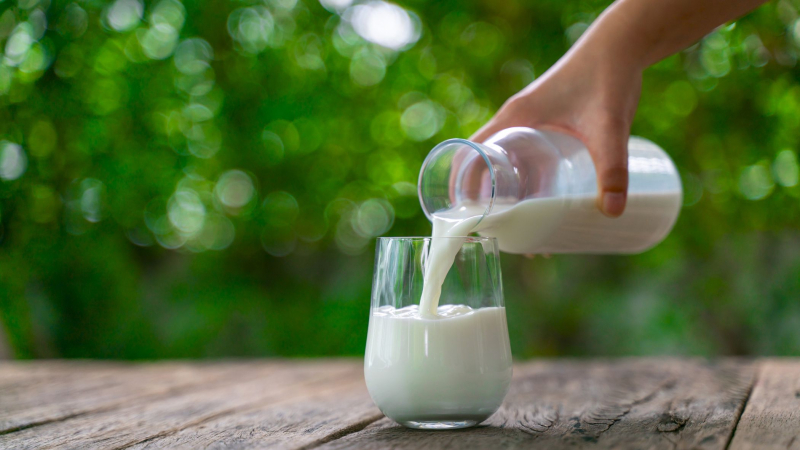 Milk Benefits Bone Health