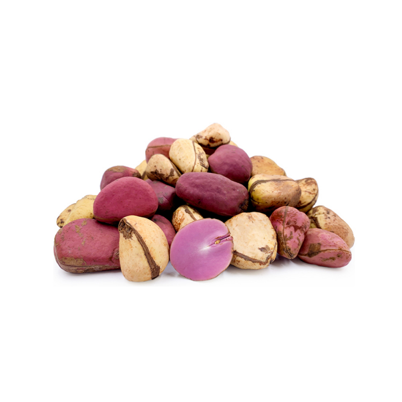 Top 5 Health Benefits of Kola Nut toplist.info