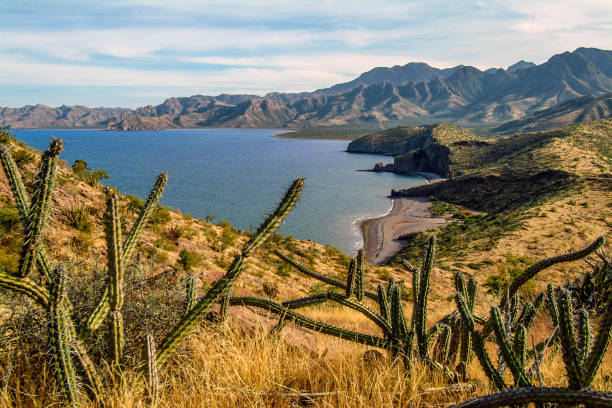Photo:  iStock - Baja California Peninsula