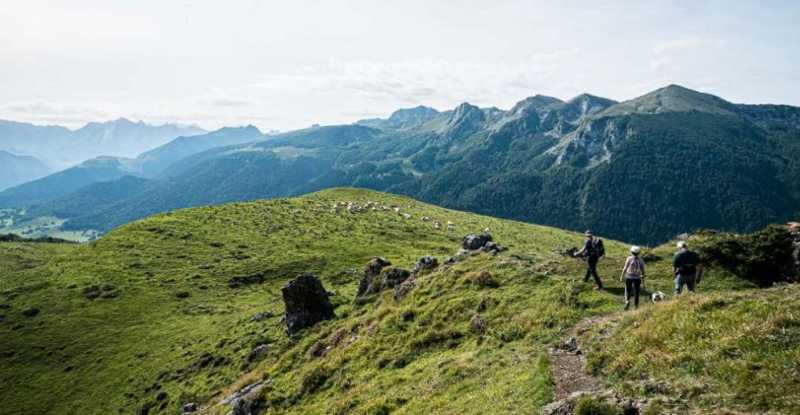 Hikes through Forests and Farmlands in the Béarn Mountains